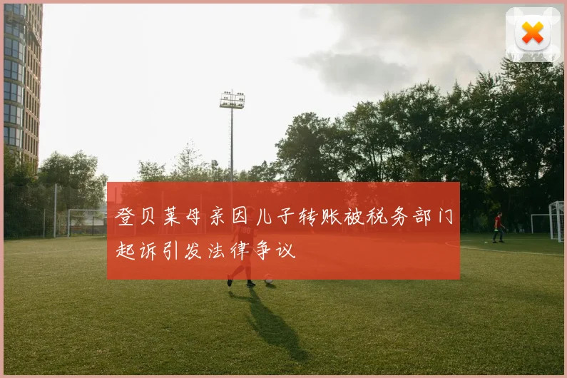 登贝莱母亲因儿子转账被税务部门起诉引发法律争议