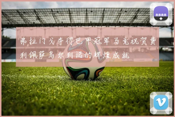 弗拉门戈夺得巴甲冠军马竞祝贺费利佩萨乌尔利诺的辉煌成就