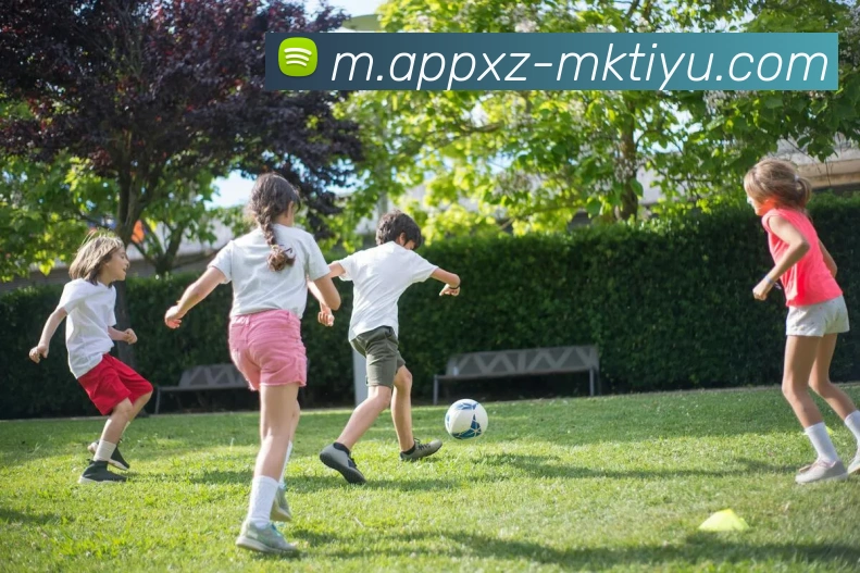 MK体育服务体系